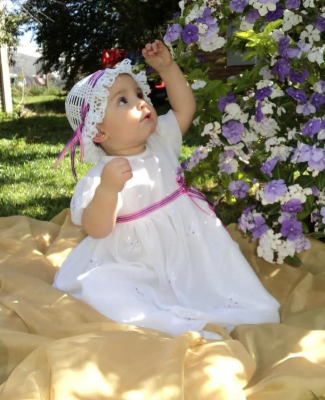 Foto de Allegra 1
